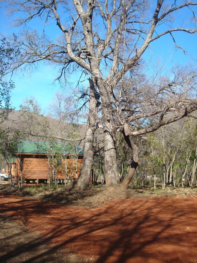 Cabanas Roble Quemado Las Trancas Quarto foto